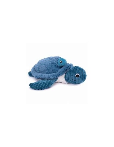 Tortue bleu et son bébé - Les deglingos